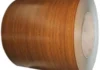 Printed Steel Coil